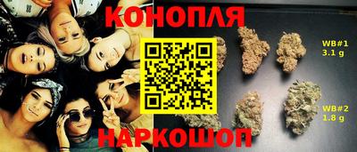 PSILOCYBIN Пугачёв