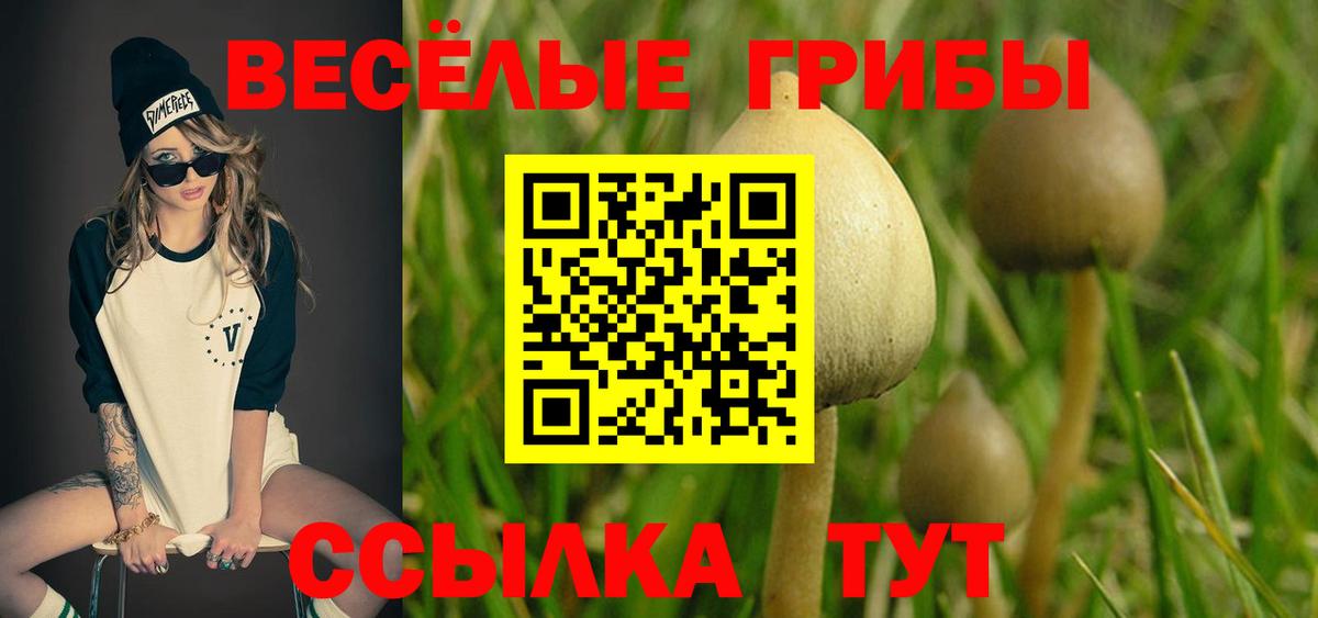 Новоуральск  Галлюциногенные грибы MAGIC MUSHROOMS  Псилоцибиновые грибы ЛСД  Вход с VPN 